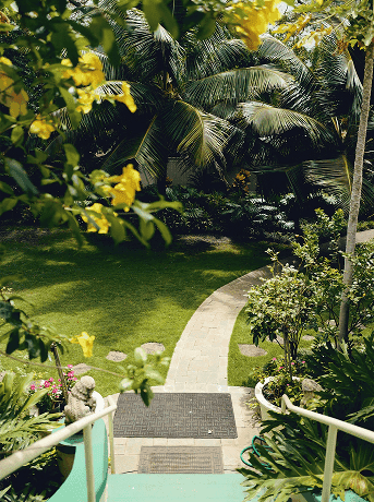 Zen Meditation Gardens